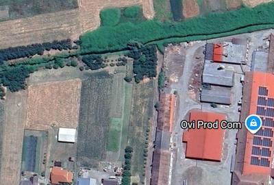 Spațiu comercial, în Crișeni - 3