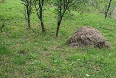 Teren de 2900 mp, în Aluniș - 2