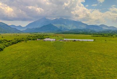 Teren 10,800mp Rasnov / Drumul DN73 - 6