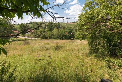Casa in localitatea Balaia, judetul Bihor - 13