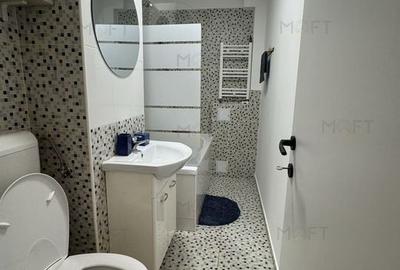 Inchiriere garsoniera Nerva Teaian - 8