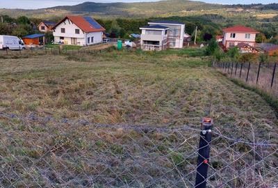 Spațiu comercial, în Sălicea - 4