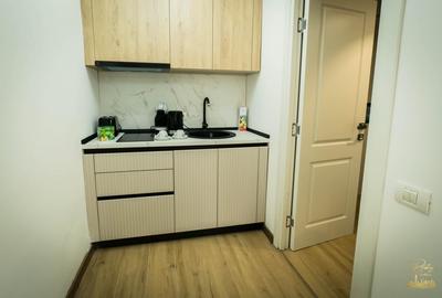 Apartament cu o camera de inchiriat in zona Ultracentrala- Oradea - 8