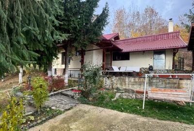 Casă cu 4 camere cu Teren 1527 Mp în Tăuții de Sus - 9