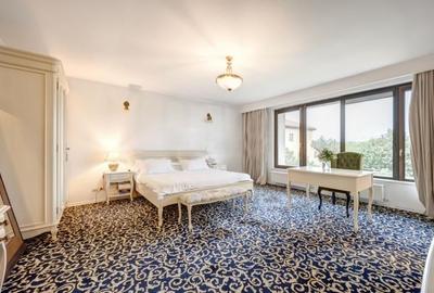 Vanzare vila lux D+P+E teren 3718 mp | piscina interioara si exterioara | Baneas - 11