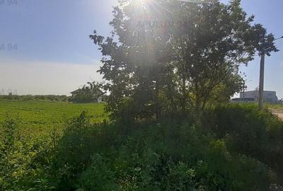 Teren cu utilita?i pentru dezvoltare proiect - 29