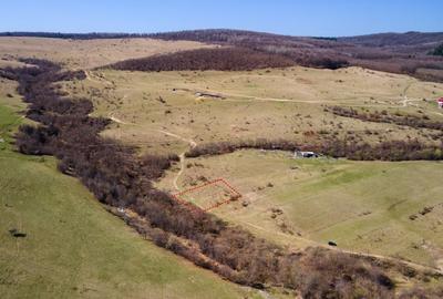 COMISION 0% - Teren intravilan, 1200 m2, Valcele, com. Feleacu, jud. Cluj - 14