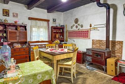 FILM! Proprietate traditionala,de poveste,cu 3.000 mp teren intravilan,Zagon,Cov - 4