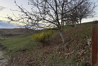 Teren Intravilan cu panorama in Borhanci Str Colonia Sopor 1000mp+85mp cota drum - 4