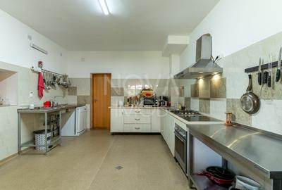 Casa + Pensiune deosebita - Orlat, Sibiu - 43