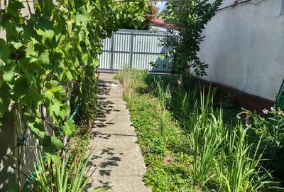 Casa si teren Gheorghe Sion - 8