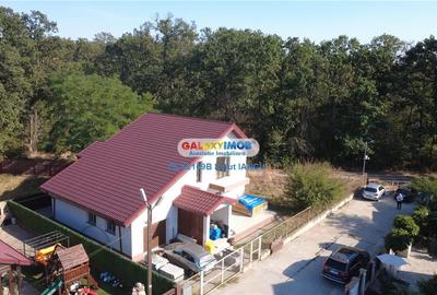 Vila cu garaj Padurea Pantelimon - 4 camere - 6