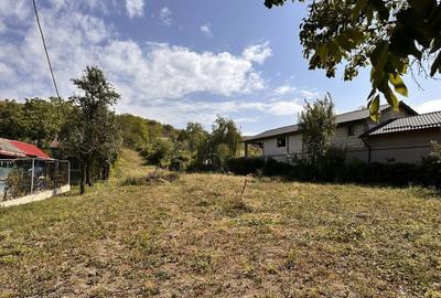 Teren de 1000 mp, în Aninoasa - 4