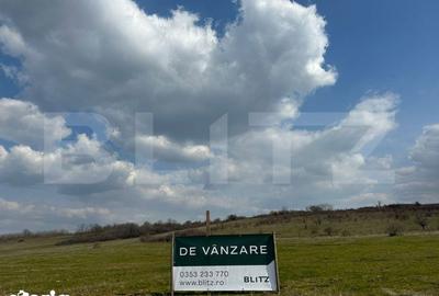 Teren de 14994 mp, în Vădeni - 2