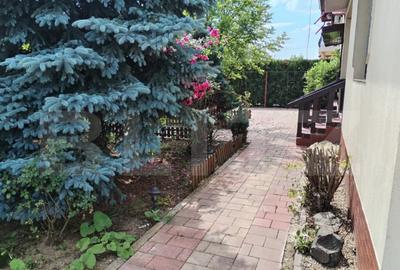 Casa, 3 camere, 693 mp teren, Lazuri - 12