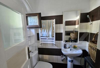 Casa individuala de vanzare in exclusivitate Tomsani - 11