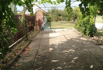 Casa de vanzare becicherecu mic - 2