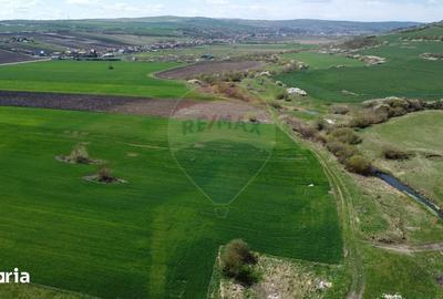 Teren de 8600 mp, în Iclod - 9