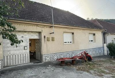 Vand casa Moniom Caras-Severin la 3 km de Resita - 2