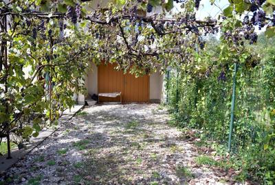 Casă cu 4 camere în Săvârșin - 4