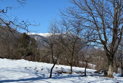 Teren Construcții intravilan de 763 mp, în Tohănița - 1