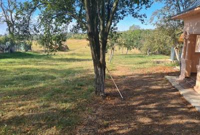 Casă cu 3 camere în Central - 2