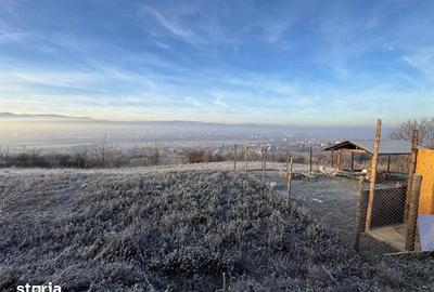 Teren de 2700 mp, în Gușterița - 9