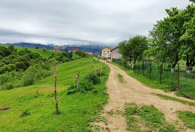 Teren Construcții extravilan de 2500 mp, în Peștera - 5