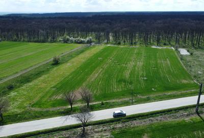 Spațiu comercial, în Bucovăț
