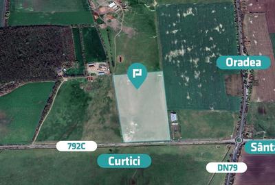 Teren intravilan 10,5 ha în com. Șimand, jud. Arad - 4