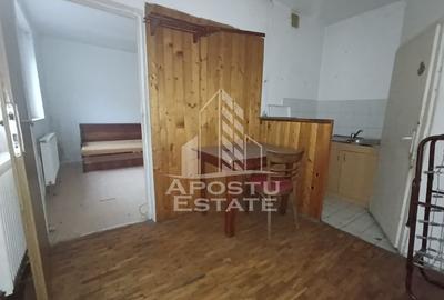 Casa individuala + garaj si anexa, oportunitate investitie, Sagului! - 13