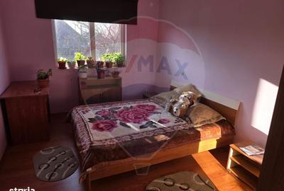 Casă cu 4 camere în Ișalnița - 2