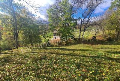 Teren de 1587 mp, în Arefu - 15