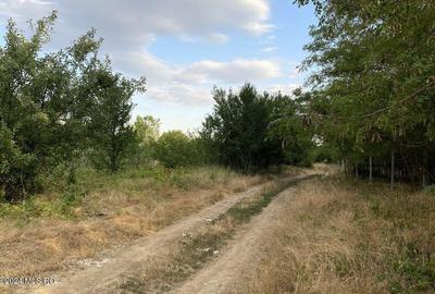 Corbeanca - Tamasi, intravilan, 16562 mp, deschidere 93 m, rezidential! 	Corbeanca - Tamasi, intravilan, 16562 mp, deschidere 93 m, rezidential! - 8