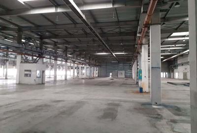 Hale si birouri 20000 mp in zona Drumul Taberei-Militari, - 1