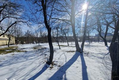 Teren de 2942 mp, în Valea Mare - 10