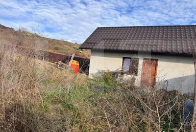 Casă cu 7 camere cu Teren 2215 Mp în Răchiți - 4