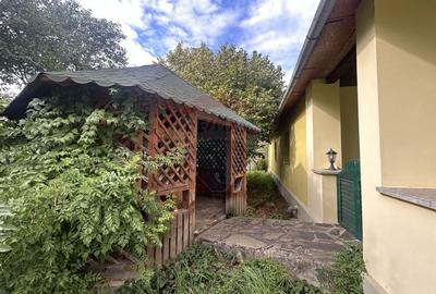 Casa cu teren de vanzare in Busag - 24