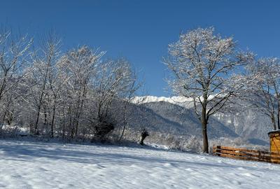 Teren intravilan loturi intre 500 si 1000 m la 5 km de Moieciu - 7