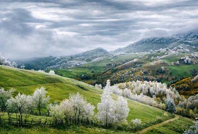 Casă individuală cu 9 camere cu Teren 1000 Mp în Peștera - 3