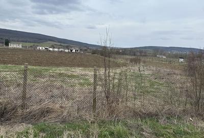 Teren de 720 mp, în Plavia - 3