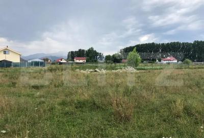 Teren de 1000 mp, în Central - 5