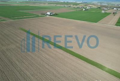 Teren de 10500 mp, în Nicolae Bălcescu - 11