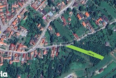 Teren de 1800 mp, în Turnu Roșu - 6