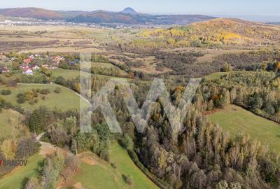 Vanzare teren intravilan 37723 mp Zarnesti Tohanita - 5