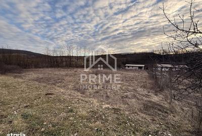 Spațiu comercial, în Drâmbar