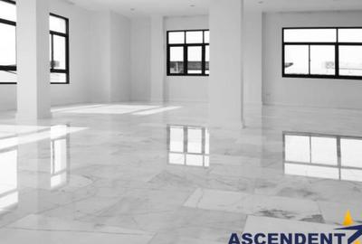 Vila impozanta, deschidere rezidential comercial clinica, - 13