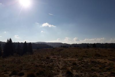 Teren cu Potential Turistic Major in Poiana Brasov - 5