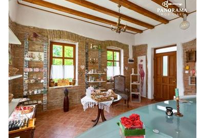 Proprietate cu farmec istoric și potențial turistic in Saschiz - 6