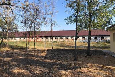 Ferma complet utilată – 30 ha teren comasat cu 11.500mp grajduri renovate Tim - 2